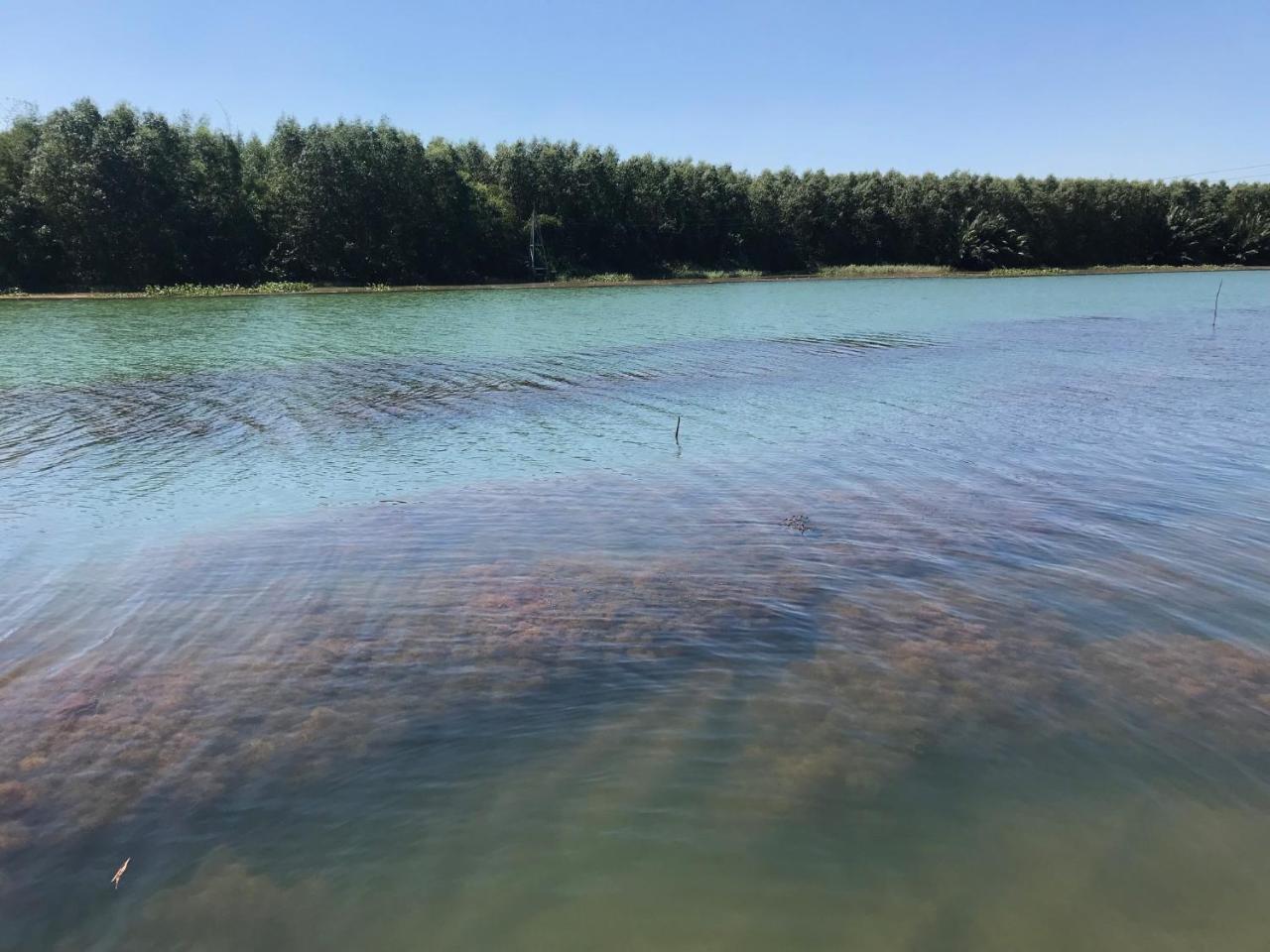 Chi-Bu Riverside Nhon Trach Εξωτερικό φωτογραφία